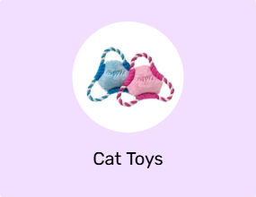 Cat Toys