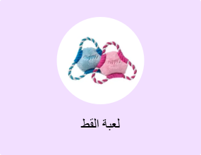 لعبة القط