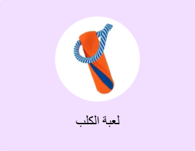لعبة الكلب