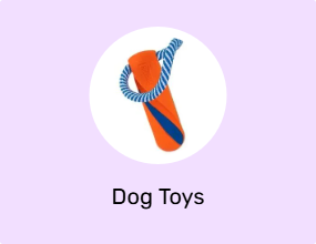 Dog Toys