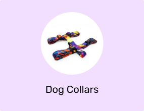 Dog Collars