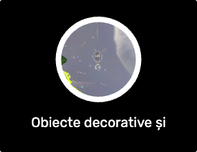 Obiecte decorative și figurine