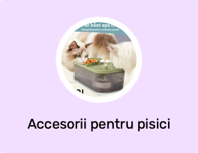 Accesorii pentru pisici