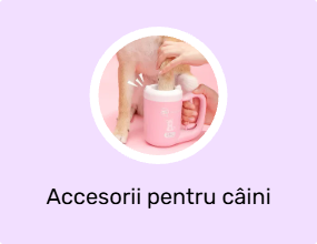 Accesorii pentru câini