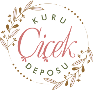 KURU ÇİÇEK DEPOSU logo