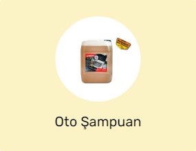 Oto Şampuan