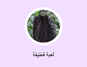 لعبة قطيفة