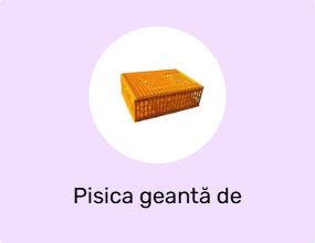 Pisica geantă de transport