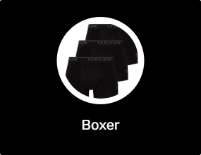 Boxer