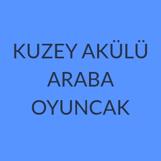 KUZEY AKÜLÜ ARABA OYUNCAK