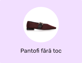 Pantofi fără toc