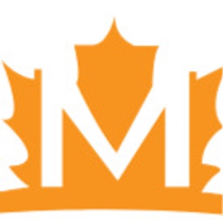 medistarbone
