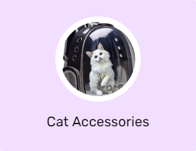 Cat Accessories