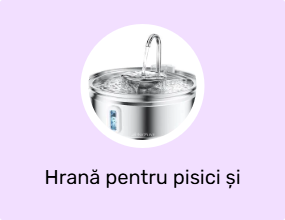 Hrană pentru pisici și recipiente pentru apă