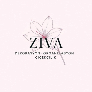 Ziva DEKOR