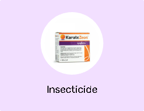 Insecticide