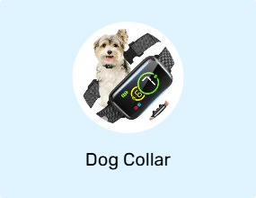 Dog Collar