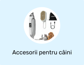 Accesorii pentru câini