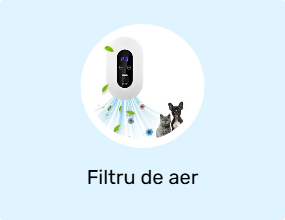 Filtru de aer
