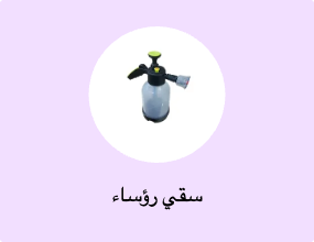 سقي رؤساء