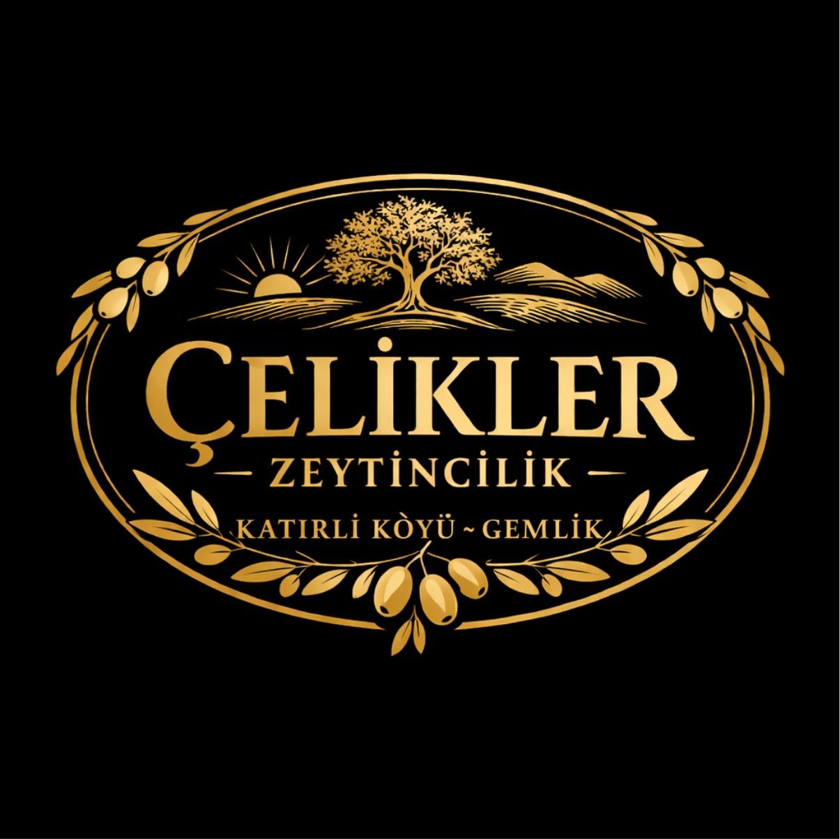 Katırlı köyü Çelikler zeytincilik