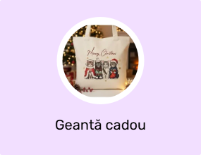 Geantă cadou