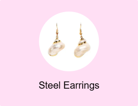 Steel Earrings