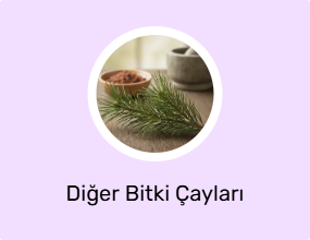 Diğer Bitki Çayları
