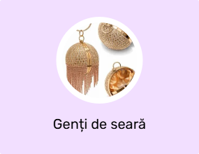 Genți de seară