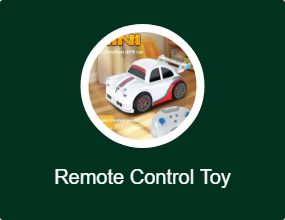 Remote Control Toy