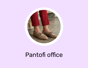 Pantofi office