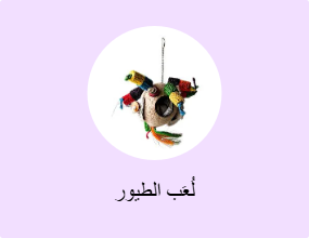 لُعَب الطيور