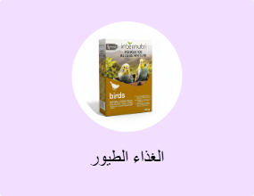 الغذاء الطيور