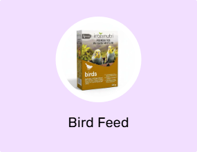Bird Feed