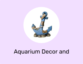 Aquarium Decor and Accessories