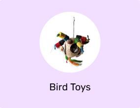 Bird Toys