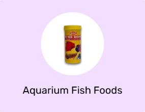 Aquarium Fish Foods
