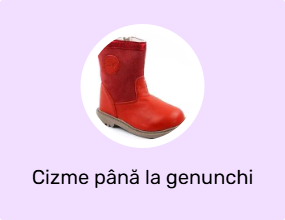 Cizme până la genunchi