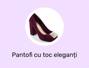 Pantofi cu toc eleganți