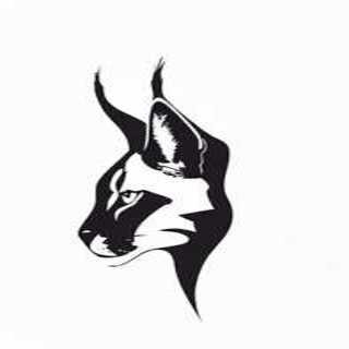 BLACK EAR STORE
