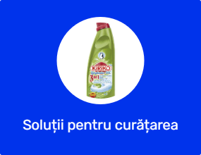 Soluții pentru curățarea toaletei