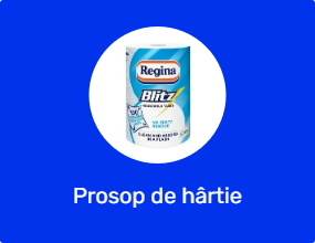 Prosop de hârtie