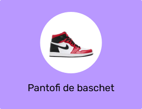 Pantofi de baschet