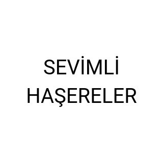 SEVİMLİ HAŞERELER