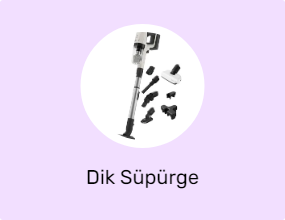 Dik Süpürge