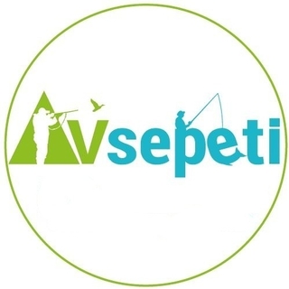 AvSepeti