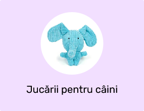 Jucării pentru câini
