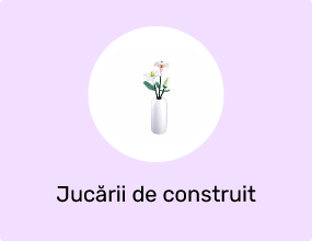 Jucării de construit
