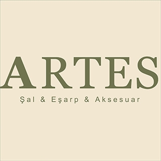 Artes Şal Eşarp Aksesuar