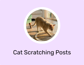 Cat Scratching Posts